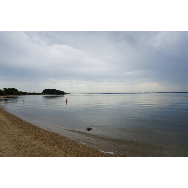 รูปถ่าย ฝรั่งเศส(France) เกาะโอมวน(Ile-aux-Moines) 2016-08 26