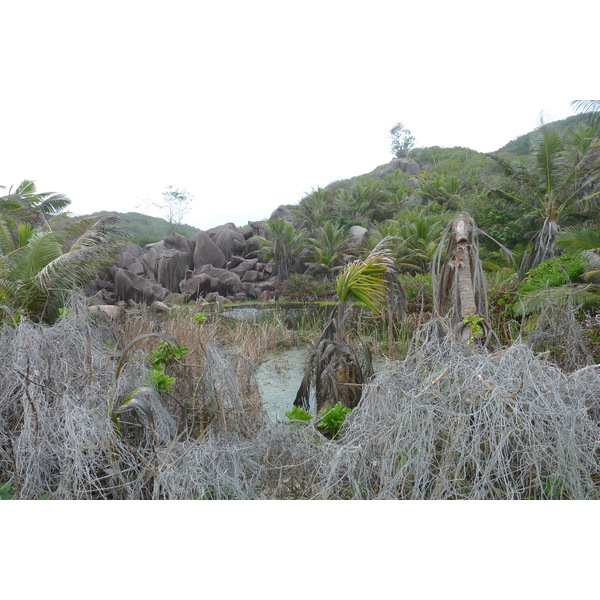 รูปถ่าย เซเชลส์(Seychelles) เกาะลาดีก(La Digue) 2011-10 198