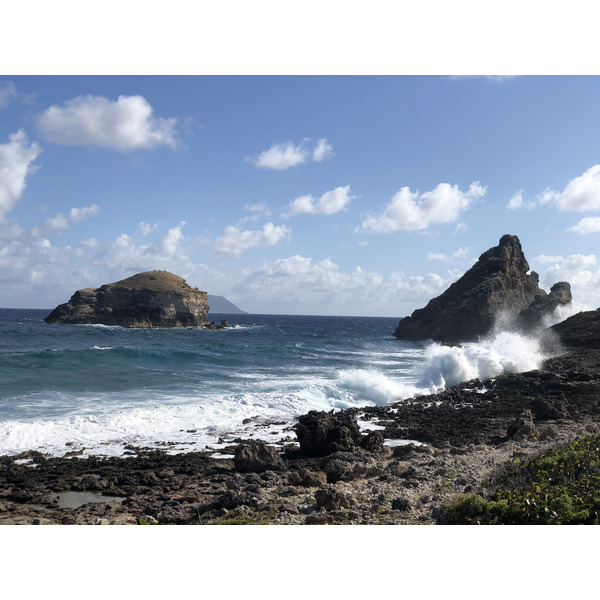 รูปถ่าย กวาเดอลูป(Guadeloupe) แหลมคาสเซิลพอยต์(Castle Point) 2021-02 286