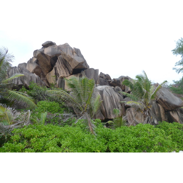 รูปถ่าย เซเชลส์(Seychelles) เกาะลาดีก(La Digue) 2011-10 187