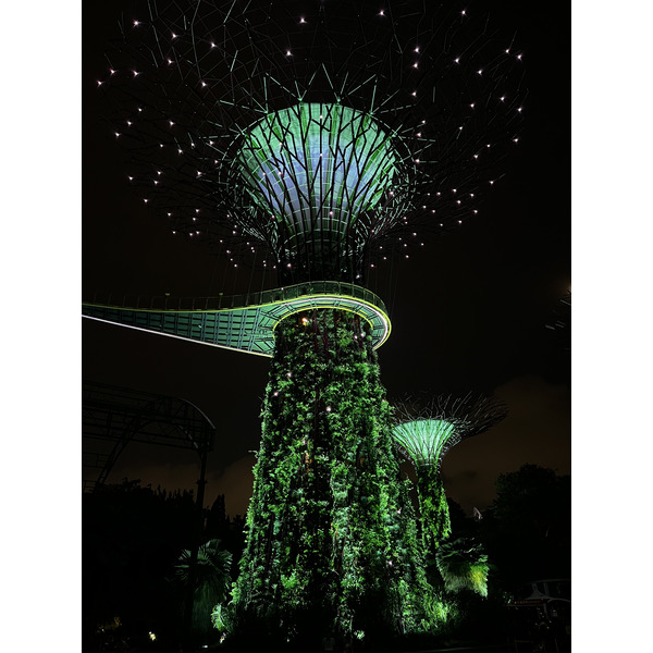 รูปถ่าย สิงคโปร์(Singapore) การ์เดนส์บายเดอะเบย์(Garden by the bay) 2023-01 24