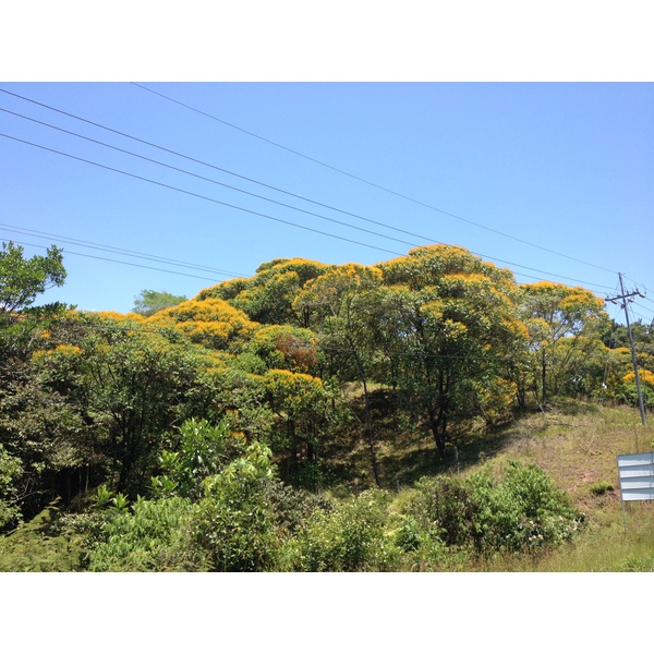 รูปถ่าย คอสตาริกา(Costa Rica) ฝั่งมหาสมุทรแปซิฟิก(Pacific Border) 2015-03 0