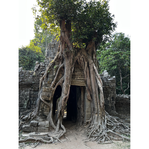 รูปถ่าย กัมพูชา(Cambodia) เสียมราฐ(Siem Reap) ปราสาทตาสม(Ta Som) 2023-01 36