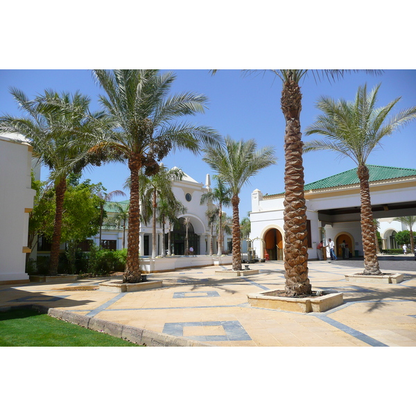 รูปถ่าย อียิปต์(Egypt) ชาร์มเอลชีค(Sharm el Sheikh) โรงแรมไฮแอต(Hyatt Hotel) 2008-06 70