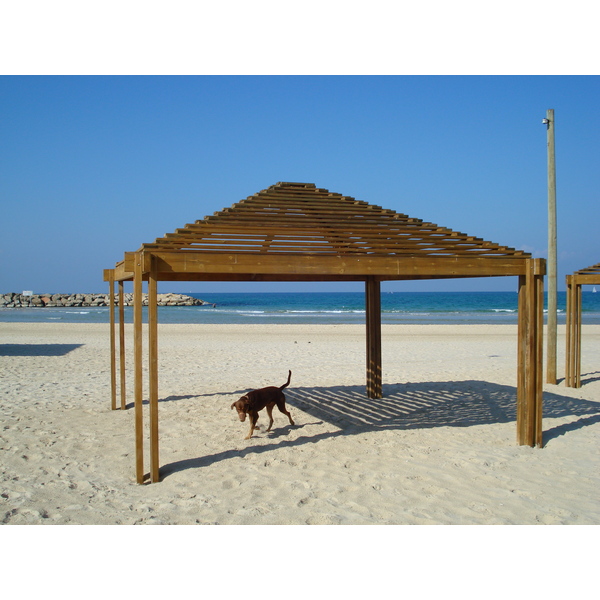 รูปถ่าย อิสราเอล(Israel) เฮิร์สลียา(Herzliya) 2006-12 55