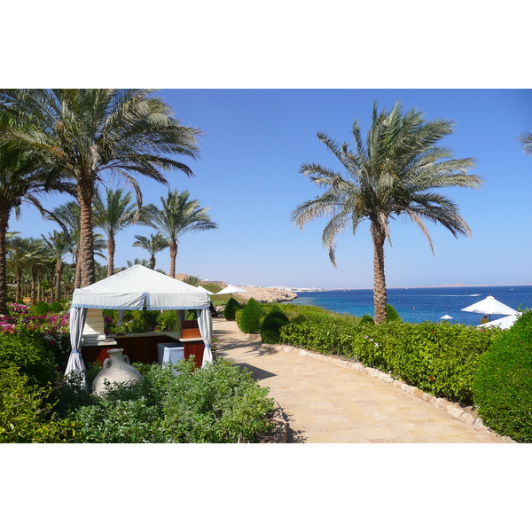 รูปถ่าย อียิปต์(Egypt) ชาร์มเอลชีค(Sharm el Sheikh) โรงแรมโฟร์ซีซันส์(Four Seasons Hotel) หาดโฟร์ซีซันส์(Four Seasons Beach) 2008-06 34