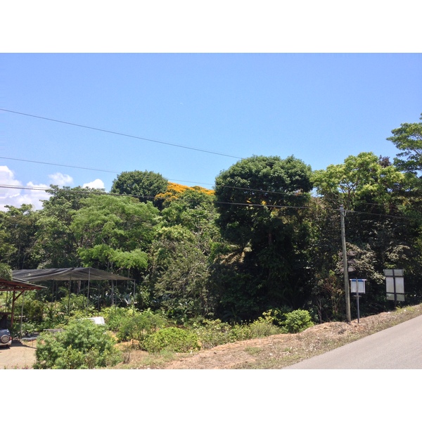 รูปถ่าย คอสตาริกา(Costa Rica) ฝั่งมหาสมุทรแปซิฟิก(Pacific Border) 2015-03 8
