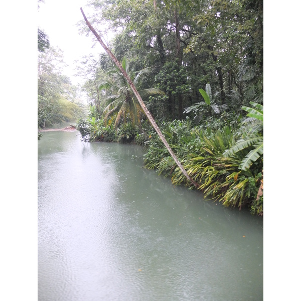 รูปถ่าย คอสตาริกา(Costa Rica) ปวยร์โตเบียโฆเดตาลามังกา(Puerto Viejo de Talamanca) 2015-03 135