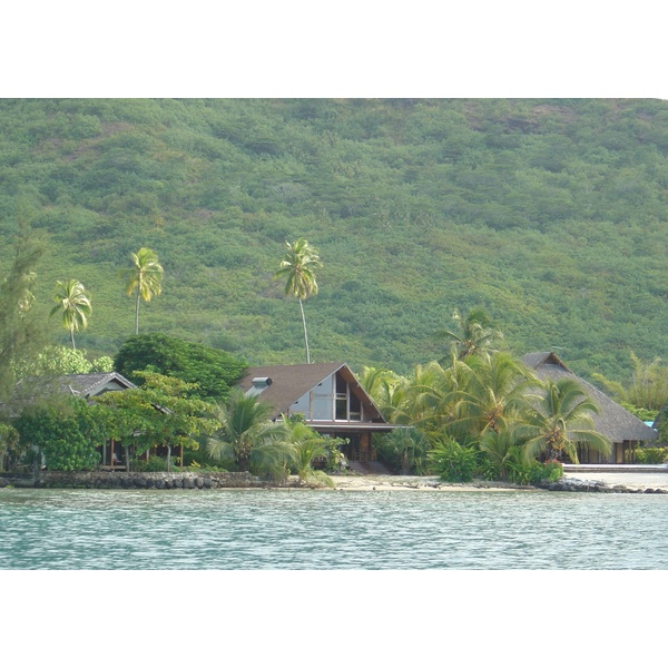 รูปถ่าย เฟรนช์โพลี่นีเซีย(Polynesia) มูเรีย(Moorea) 2006-04 169