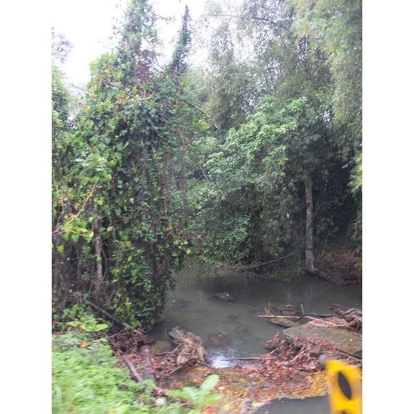 รูปถ่าย คอสตาริกา(Costa Rica) ปวยร์โตเบียโฆเดตาลามังกา(Puerto Viejo de Talamanca) 2015-03 7