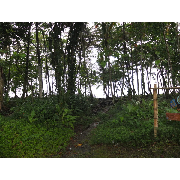 รูปถ่าย คอสตาริกา(Costa Rica) ปวยร์โตเบียโฆเดตาลามังกา(Puerto Viejo de Talamanca) 2015-03 8