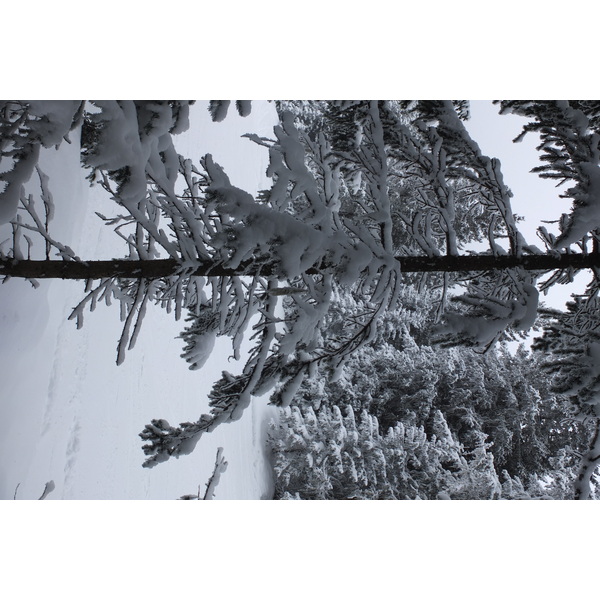 รูปถ่าย ฝรั่งเศส(France) เลทรัววาเล(Les 3 Vallees) 2013-03 6