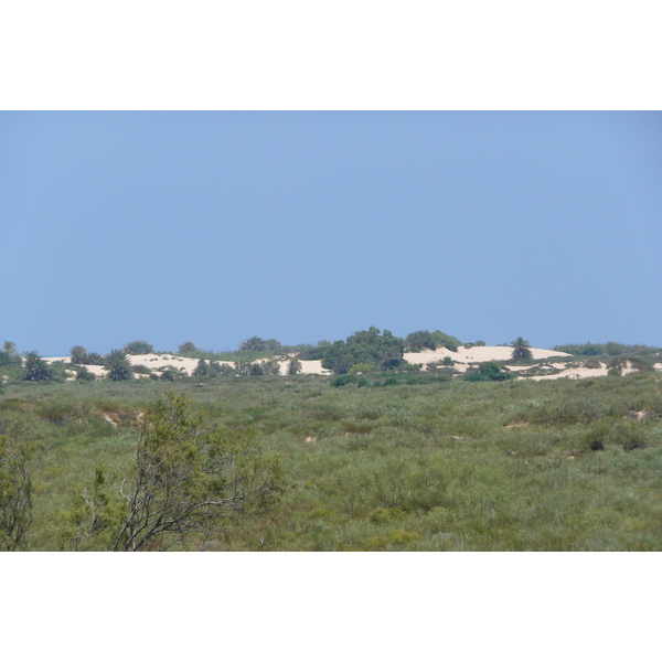 รูปถ่าย อิสราเอล(Israel) นิทซาน(Nitzan) 2007-06 24