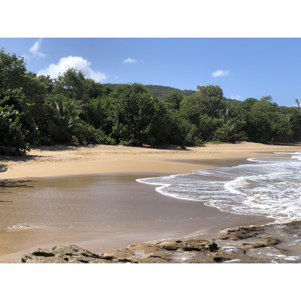 รูปถ่าย กวาเดอลูป(Guadeloupe) หาดกลูญี(Clugny Beach) 2021-02 5
