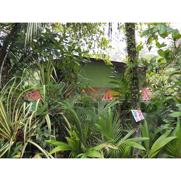 รูปถ่าย คอสตาริกา(Costa Rica) ปวยร์โตเบียโฆเดตาลามังกา(Puerto Viejo de Talamanca) 2015-03 48