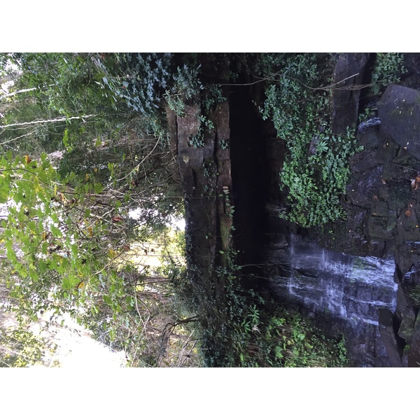 รูปถ่าย ไทย(Thailand) อุทยานแห่งชาติภูหินร่องกล้า(Phu Hin Rong Kla National Park) 2014-12 252