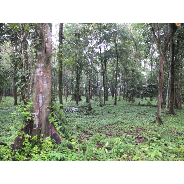 รูปถ่าย คอสตาริกา(Costa Rica) ปวยร์โตเบียโฆเดตาลามังกา(Puerto Viejo de Talamanca) 2015-03 36