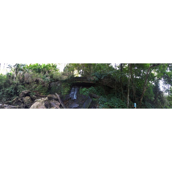 รูปถ่าย ไทย(Thailand) อุทยานแห่งชาติภูหินร่องกล้า(Phu Hin Rong Kla National Park) 2014-12 294