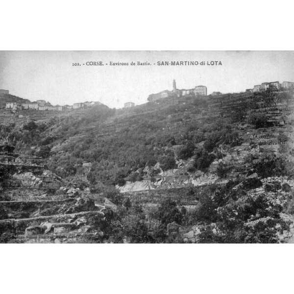รูปถ่าย ฝรั่งเศส(France) คอร์สิคา(Corsica) โปสการ์ดเก่า(Old Postcards) 1900-01 276