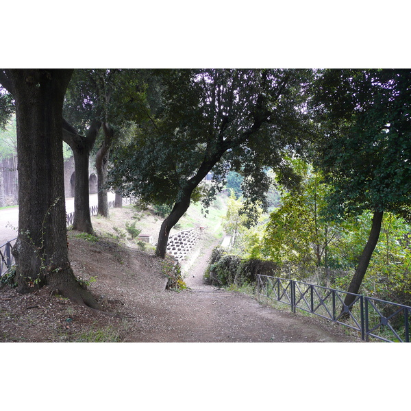รูปถ่าย อิตาลี(Italy) โรม(Rome) วิลลาโดเรียปัมฟีลี(Villa Doria Pamphili) 2007-11 58