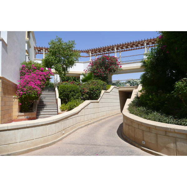รูปถ่าย อียิปต์(Egypt) ชาร์มเอลชีค(Sharm el Sheikh) โรงแรมไฮแอต(Hyatt Hotel) 2008-06 87