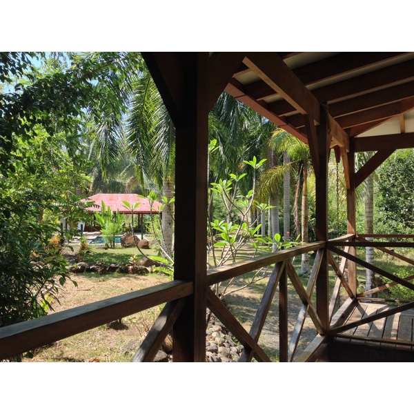 รูปถ่าย คอสตาริกา(Costa Rica) อูบีตา(Uvita) 2015-03 0