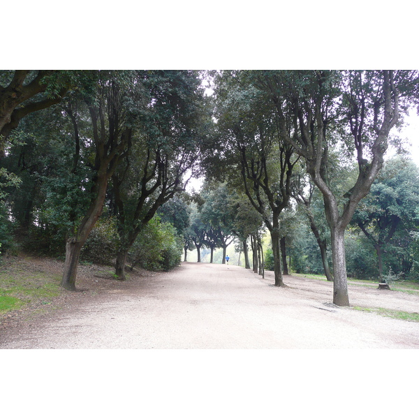 รูปถ่าย อิตาลี(Italy) โรม(Rome) วิลลาโดเรียปัมฟีลี(Villa Doria Pamphili) 2007-11 68