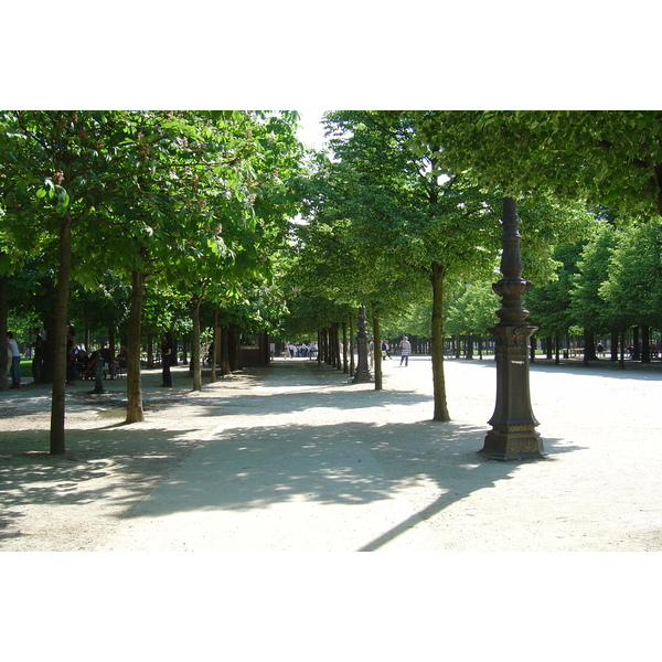 รูปถ่าย ฝรั่งเศส(France) ปารีส(Paris) สวนตุยเลอรี(Garden of Tuileries) 2007-05 5