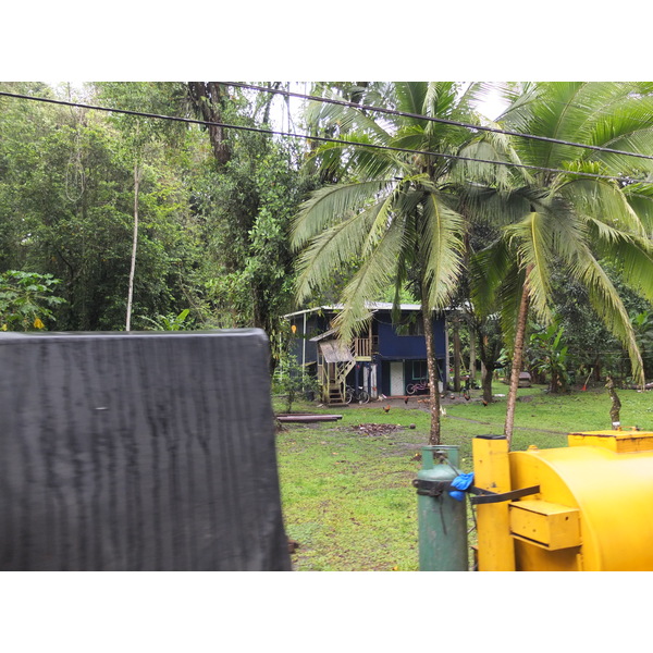 รูปถ่าย คอสตาริกา(Costa Rica) ปวยร์โตเบียโฆเดตาลามังกา(Puerto Viejo de Talamanca) 2015-03 121