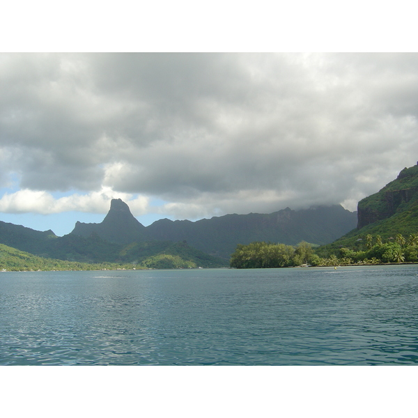 รูปถ่าย เฟรนช์โพลี่นีเซีย(Polynesia) มูเรีย(Moorea) 2006-04 189