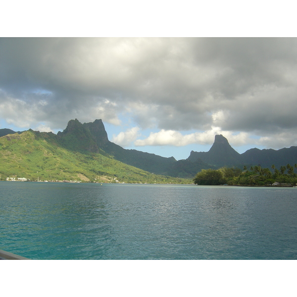รูปถ่าย เฟรนช์โพลี่นีเซีย(Polynesia) มูเรีย(Moorea) 2006-04 166