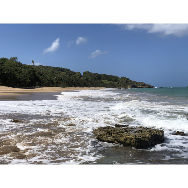 รูปถ่าย กวาเดอลูป(Guadeloupe) หาดกลูญี(Clugny Beach) 2021-02 1