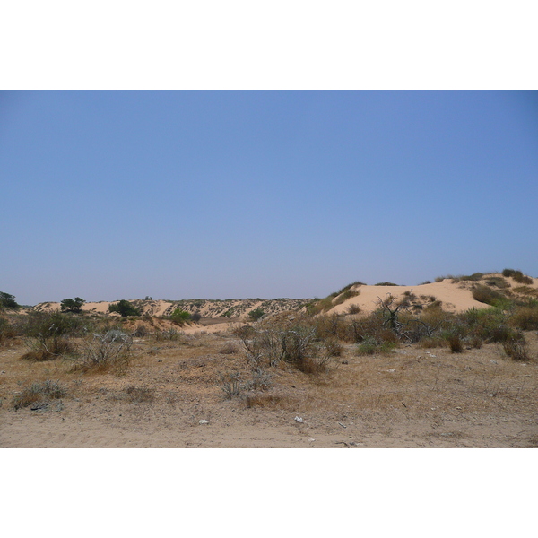 รูปถ่าย อิสราเอล(Israel) นิทซาน(Nitzan) 2007-06 104