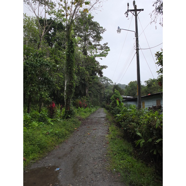 รูปถ่าย คอสตาริกา(Costa Rica) ปวยร์โตเบียโฆเดตาลามังกา(Puerto Viejo de Talamanca) 2015-03 20
