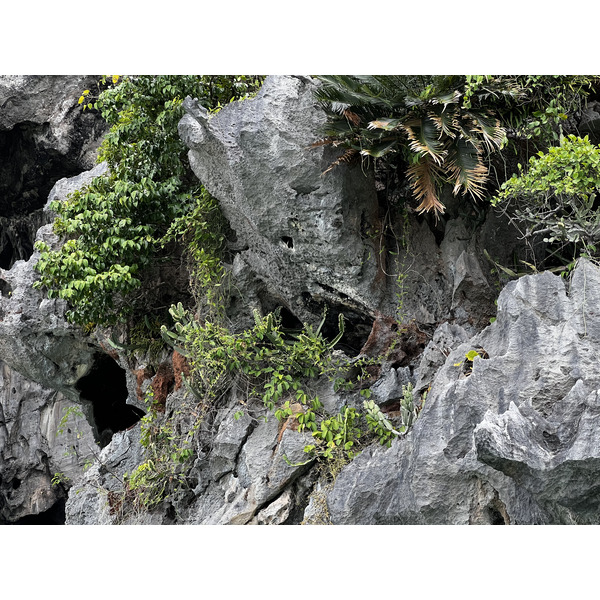 รูปถ่าย ไทย(Thailand) กระบี่(Krabi) 2023-01 237