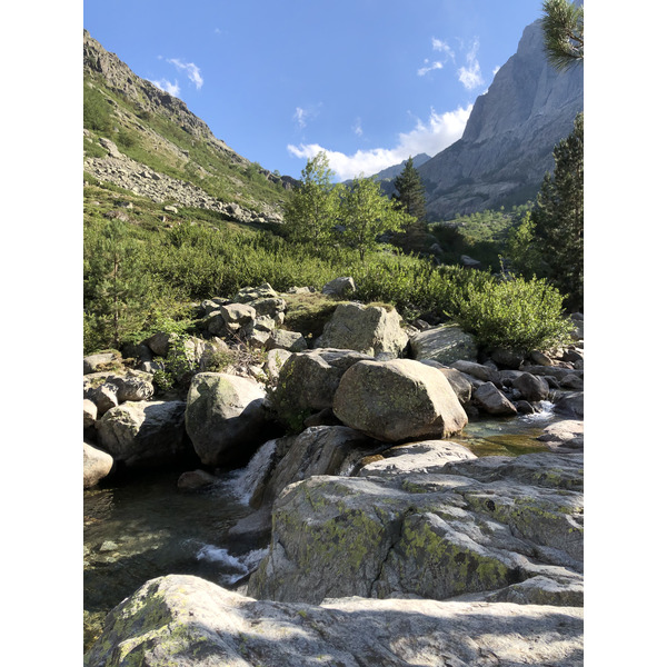 รูปถ่าย ฝรั่งเศส(France) คอร์สิคา(Corsica) หุบเขาลาเรสโตนีกา(La Restonica) 2020-07 84