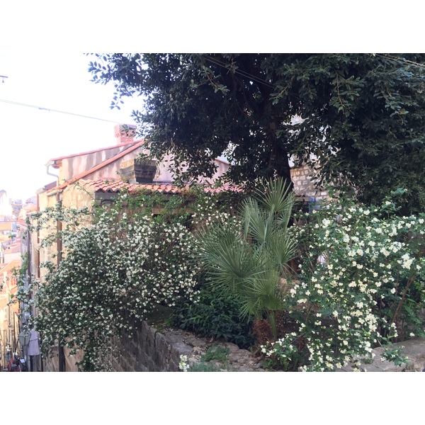 รูปถ่าย โครเอเชีย(Croatia) ดูบรอฟนิก(Dubrovnik) 2016-04 176