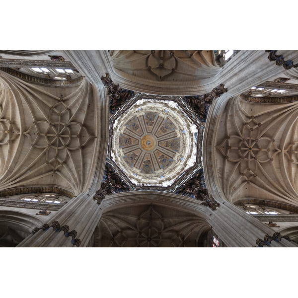 รูปถ่าย สเปน(Spain) ซาลามังกา(Salamanca) 2013-01 38