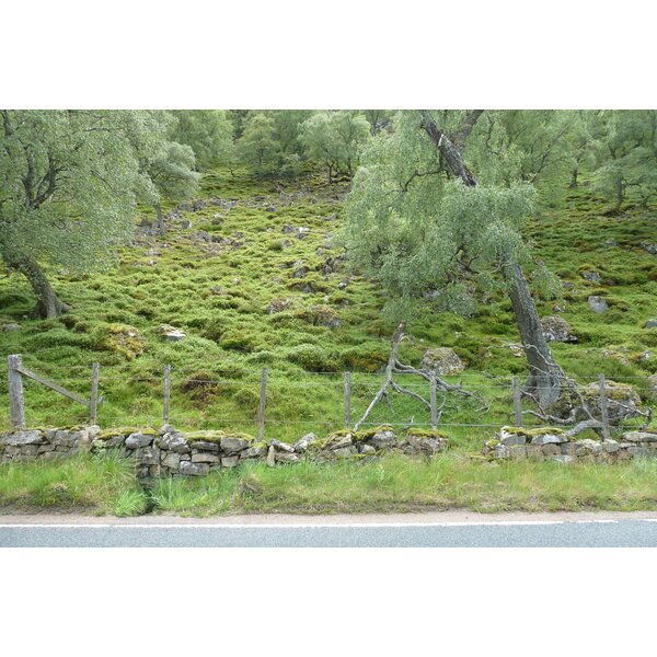 รูปถ่าย อังกฤษ(United Kingdom) อุทยานแห่งชาติแคร์นกอร์มส์(Cairngorms National Park) 2011-07 6