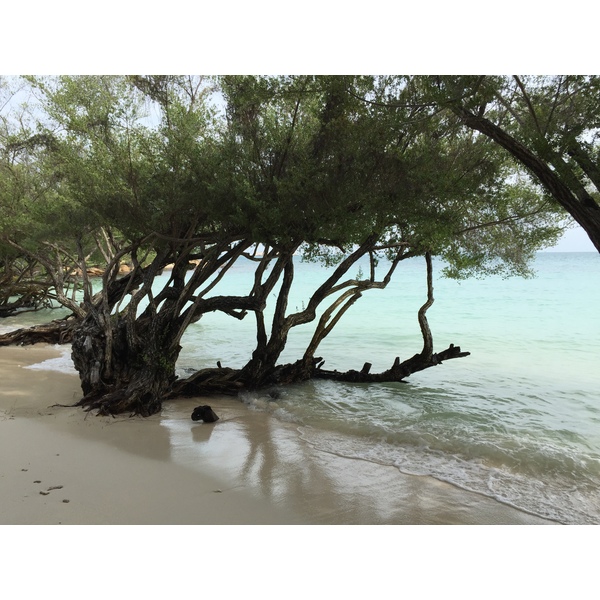 รูปถ่าย ไทย(Thailand) เกาะเสม็ด(Ko Samet) 2014-12 271