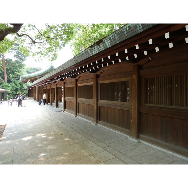 รูปถ่าย ญี่ปุ่น(Japan) โตเกียว(Tokyo) สวนโยโยงิ(Yoyogi Park) 2010-06 17
