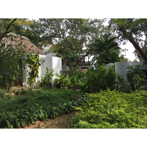 รูปถ่าย ไทย(Thailand) เกาะเสม็ด(Ko Samet) 2014-12 32