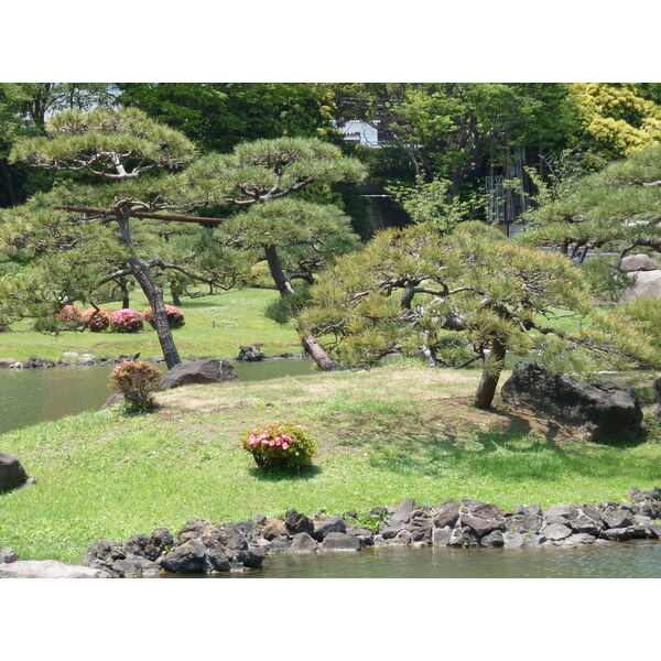รูปถ่าย ญี่ปุ่น(Japan) โตเกียว(Tokyo) สวนคิวชิบะริคิว(Kyu Shiba rikyu Gardens) 2010-06 4