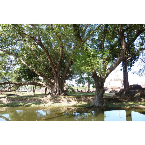 รูปถ่าย ไทย(Thailand) สุโขทัย(Sukhothai) 2010-12 94