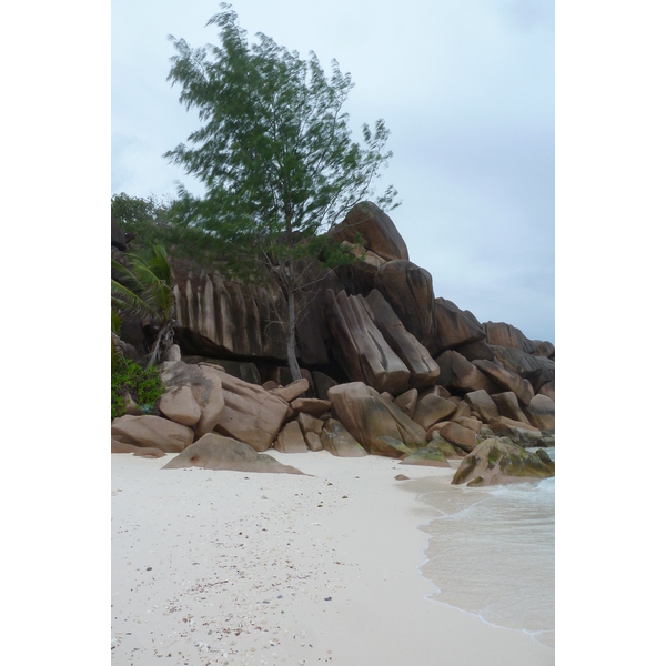 รูปถ่าย เซเชลส์(Seychelles) เกาะลาดีก(La Digue) 2011-10 126