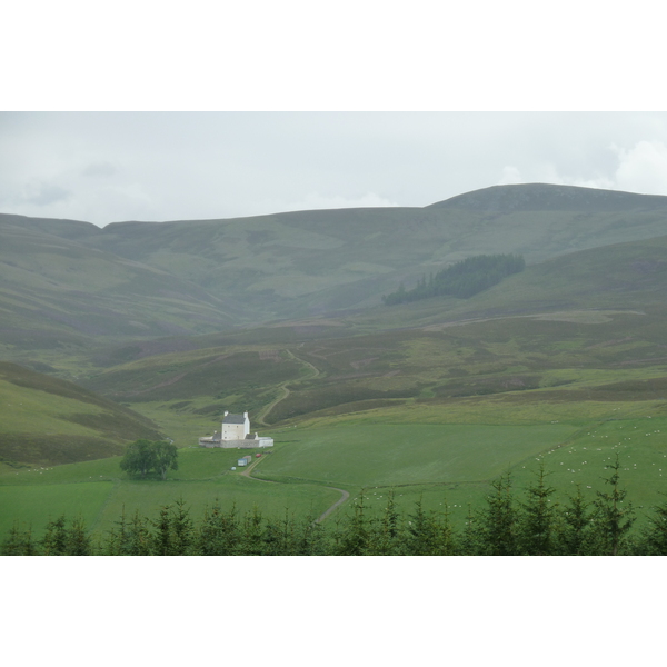 รูปถ่าย อังกฤษ(United Kingdom) อุทยานแห่งชาติแคร์นกอร์มส์(Cairngorms National Park) 2011-07 117