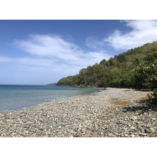 รูปถ่าย กวาเดอลูป(Guadeloupe) แหลมแบล็กพอยต์(Black Point) 2021-02 9