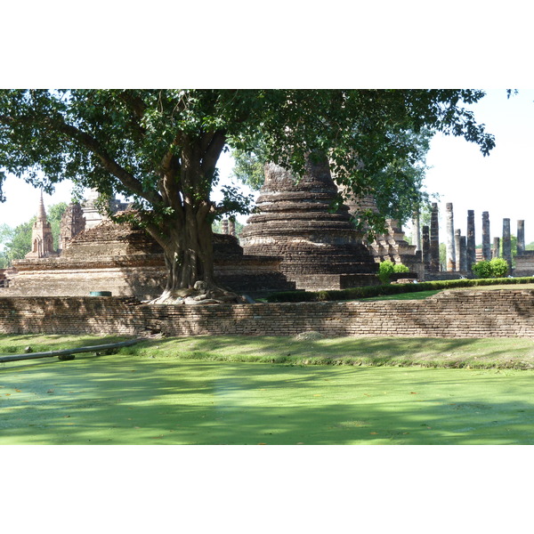รูปถ่าย ไทย(Thailand) สุโขทัย(Sukhothai) 2010-12 83