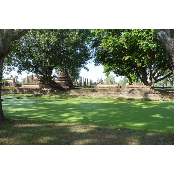 รูปถ่าย ไทย(Thailand) สุโขทัย(Sukhothai) 2010-12 69