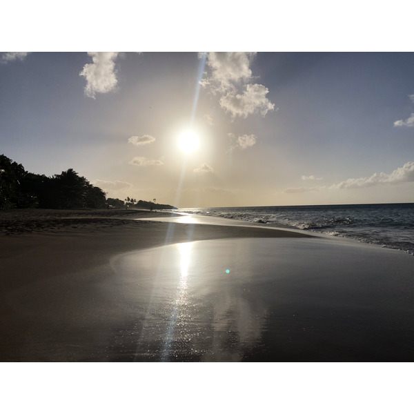 รูปถ่าย กวาเดอลูป(Guadeloupe) หาดลาแปร์ล(La Perle Beach) 2021-02 115